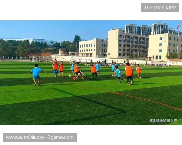 足球教育进校园项目拓展，意甲基金会主导